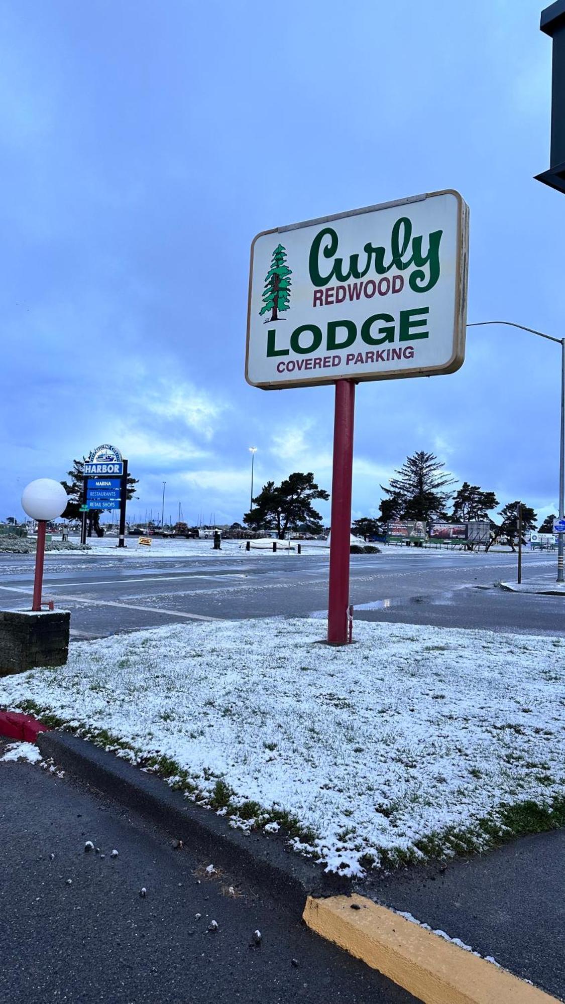 Curly Redwood Lodge Crescent City Exterior foto